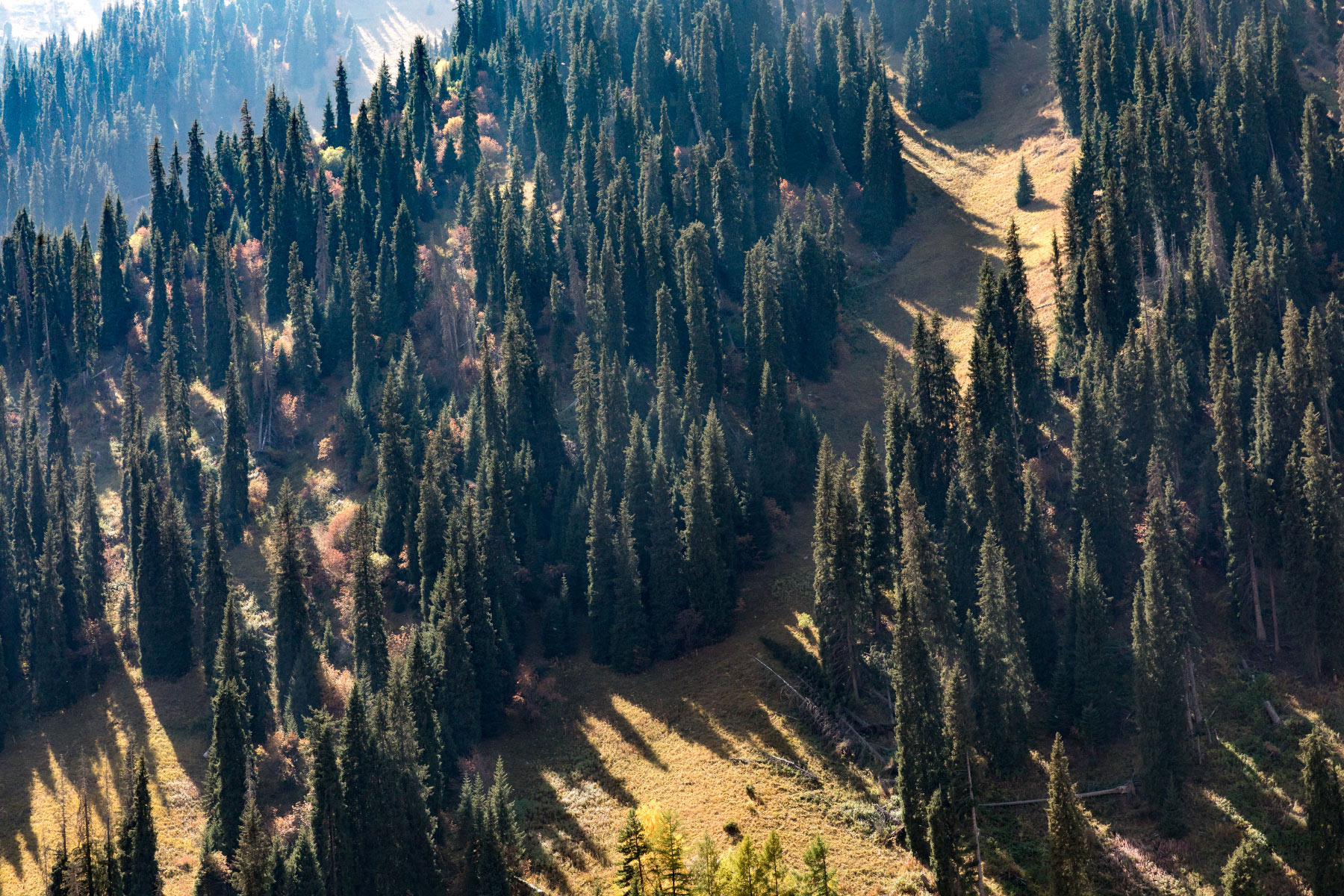 Almaty (Алма-Ата)